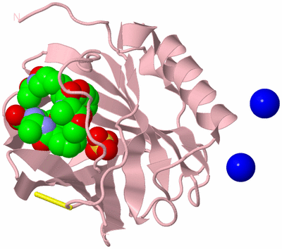 Image Biological Unit 3