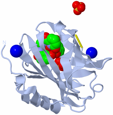 Image Biological Unit 1