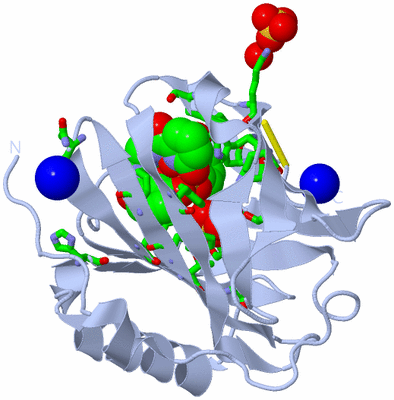 Image Biol. Unit 1 - sites