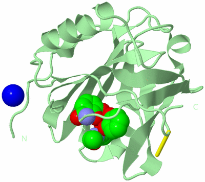 Image Biological Unit 2