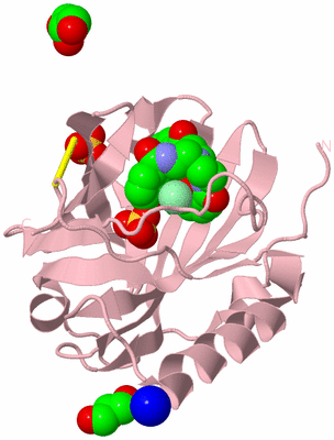 Image Biological Unit 3