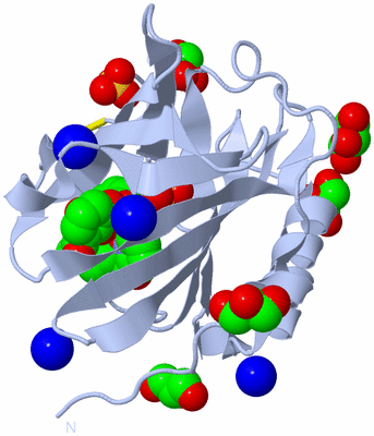 Image Biological Unit 1