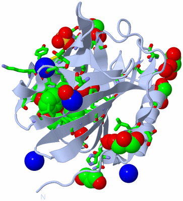 Image Biol. Unit 1 - sites