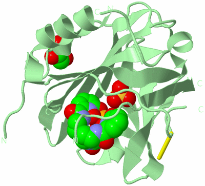 Image Biological Unit 2