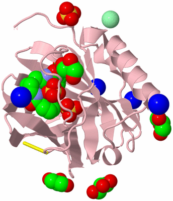 Image Biological Unit 3