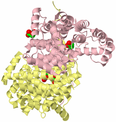 Image Biological Unit 2