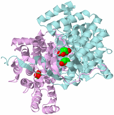 Image Biological Unit 3