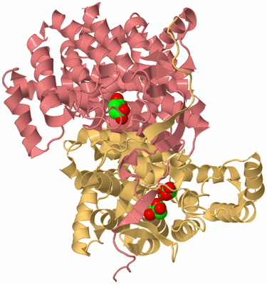 Image Biological Unit 4