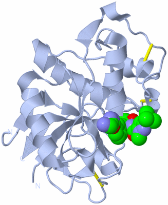 Image Biological Unit 1