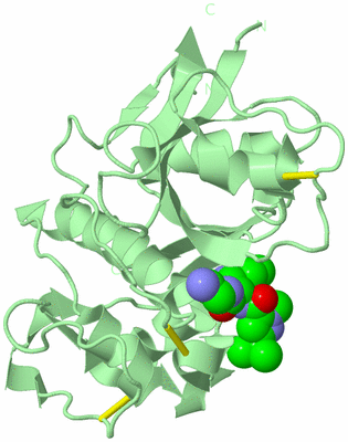 Image Biological Unit 2