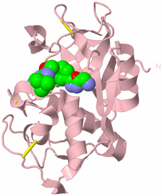 Image Biological Unit 3