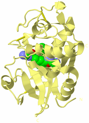 Image Biological Unit 4