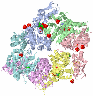 Image Biological Unit 1