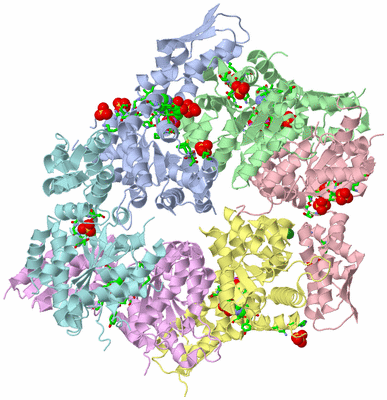 Image Biol. Unit 1 - sites