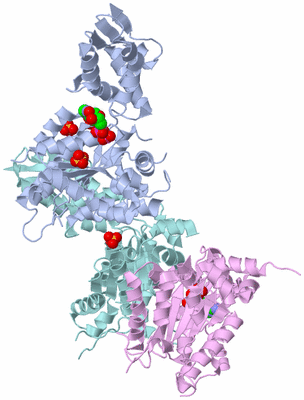 Image Biological Unit 2