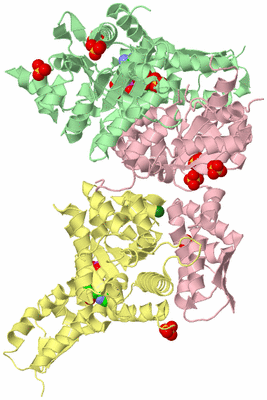 Image Biological Unit 3