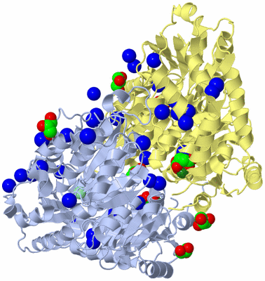 Image Asym./Biol. Unit