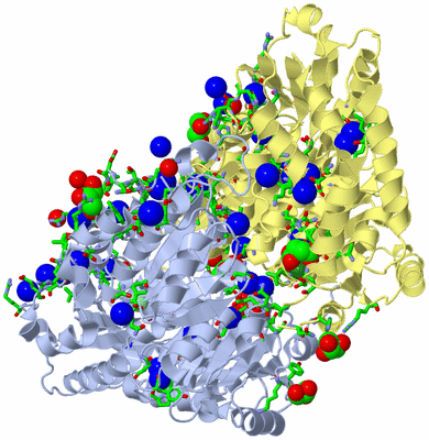 Image Asym./Biol. Unit - sites