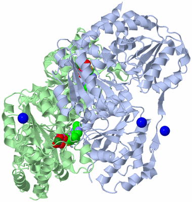 Image Biological Unit 1