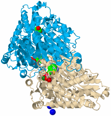 Image Biological Unit 2