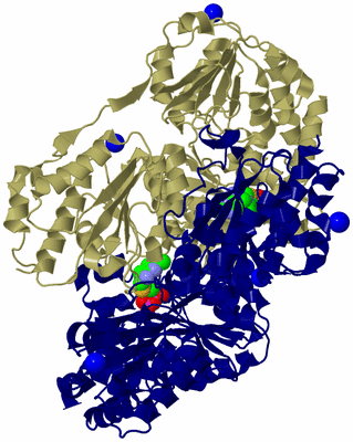 Image Biological Unit 3