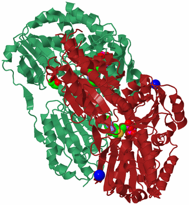 Image Biological Unit 4