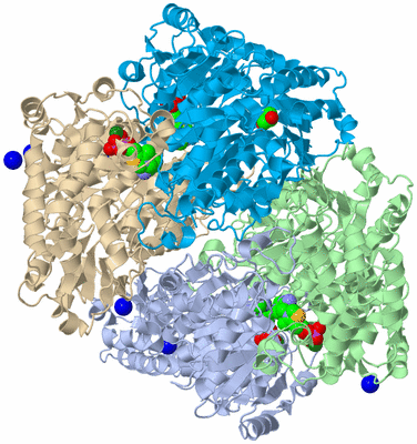 Image Biological Unit 5