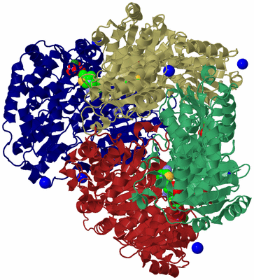 Image Biological Unit 6