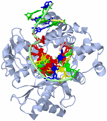 Image Biological Unit 1