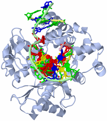 Image Biol. Unit 1 - sites