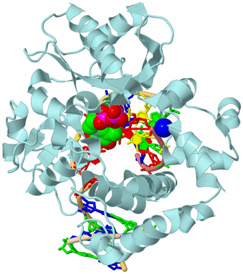 Image Biological Unit 2