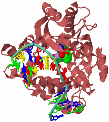 Image Biological Unit 3