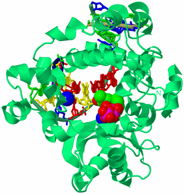 Image Biological Unit 4