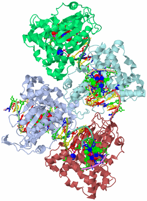 Image Asym. Unit - sites