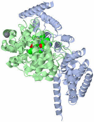 Image Asym./Biol. Unit