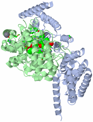 Image Asym./Biol. Unit - sites