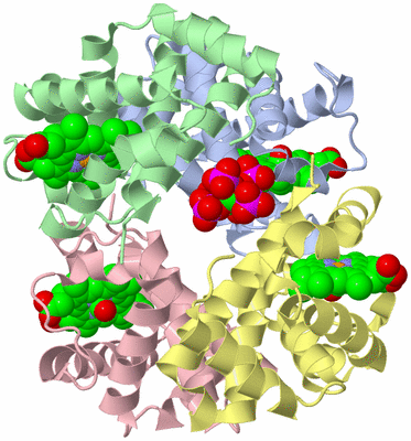 Image Asym./Biol. Unit