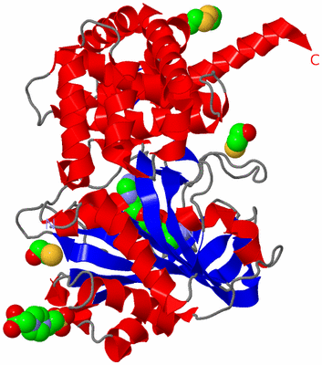 Image Asym./Biol. Unit