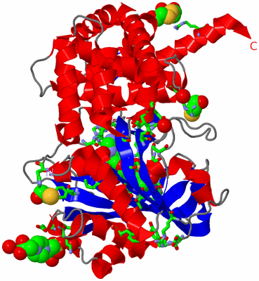 Image Asym./Biol. Unit - sites