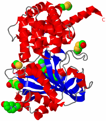 Image Asym./Biol. Unit