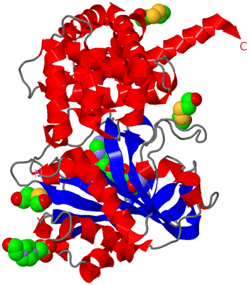 Image Asym./Biol. Unit