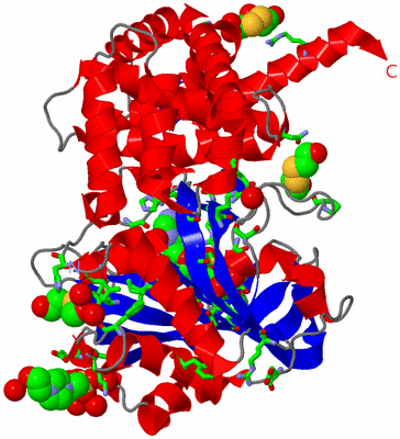 Image Asym./Biol. Unit - sites