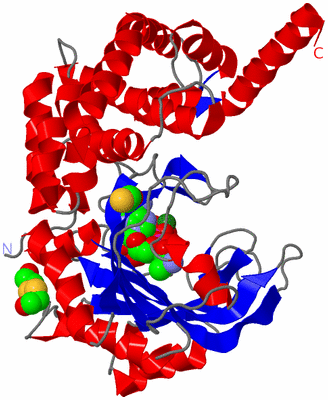 Image Asym./Biol. Unit