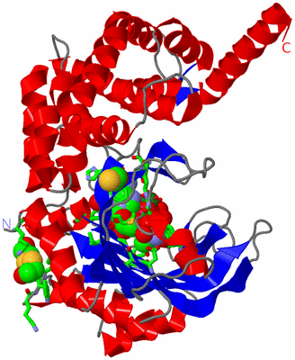 Image Asym./Biol. Unit - sites