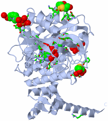 Image Biol. Unit 1 - sites