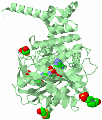 Image Biological Unit 2