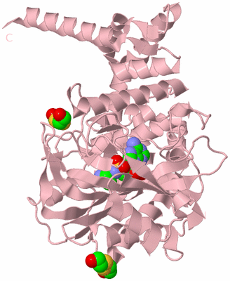 Image Biological Unit 3