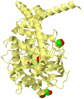 Image Biological Unit 4