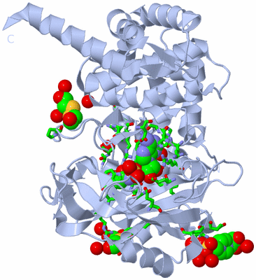 Image Biol. Unit 1 - sites