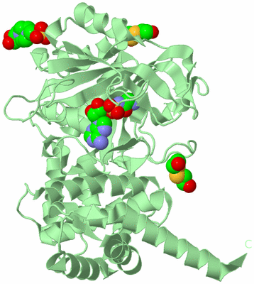 Image Biological Unit 2